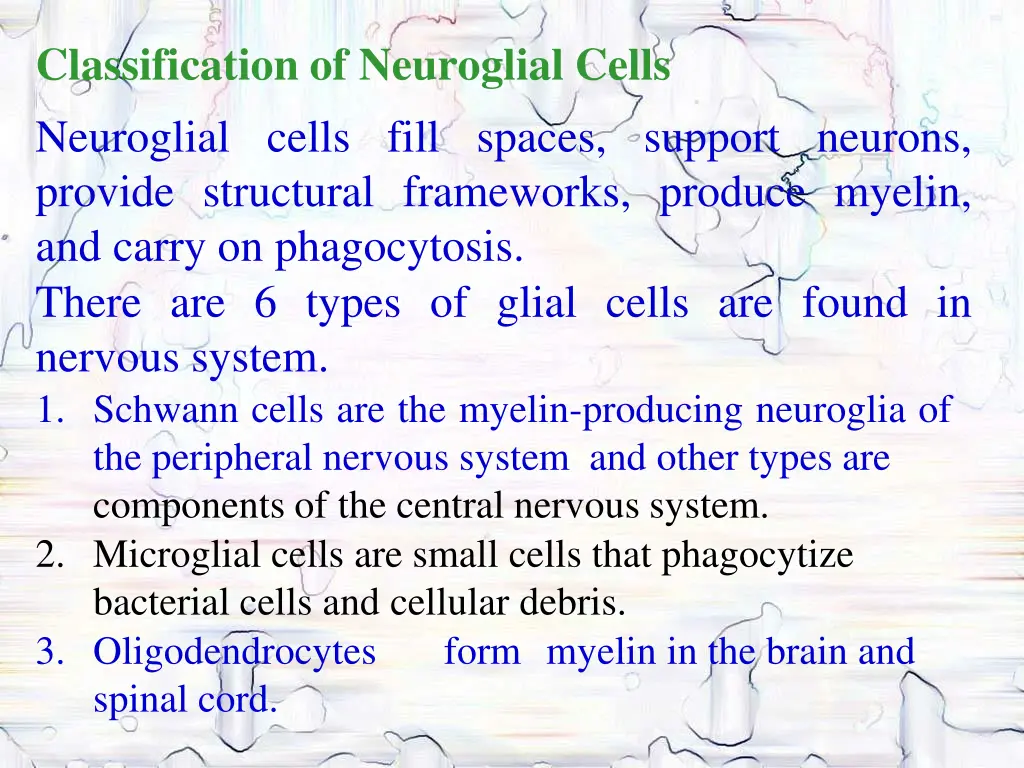 classification of neuroglial cells neuroglial