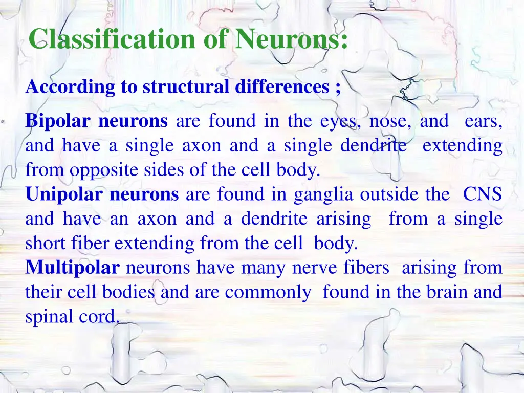 classification of neurons