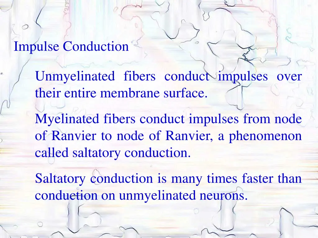 impulse conduction