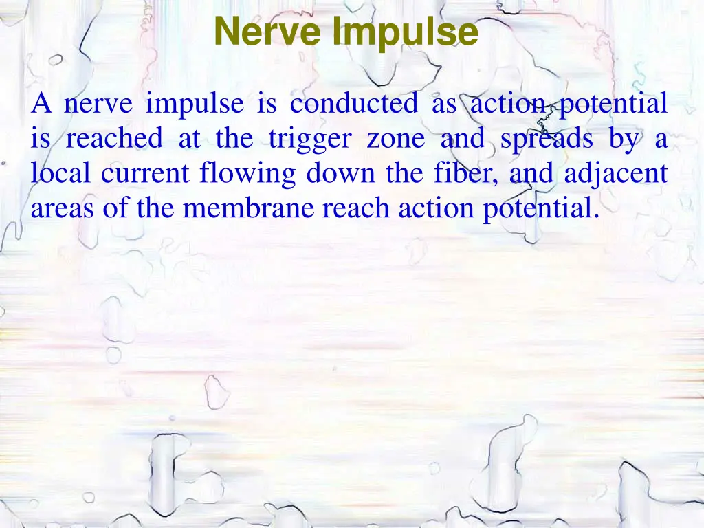 nerve impulse 1