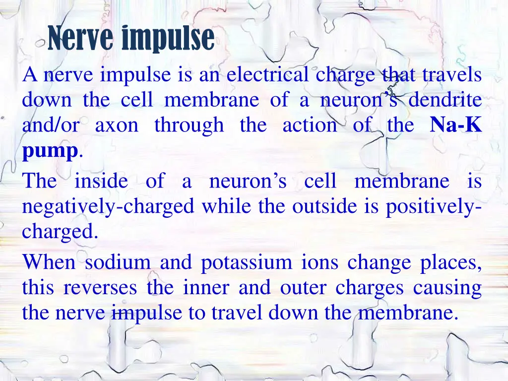 nerve impulse