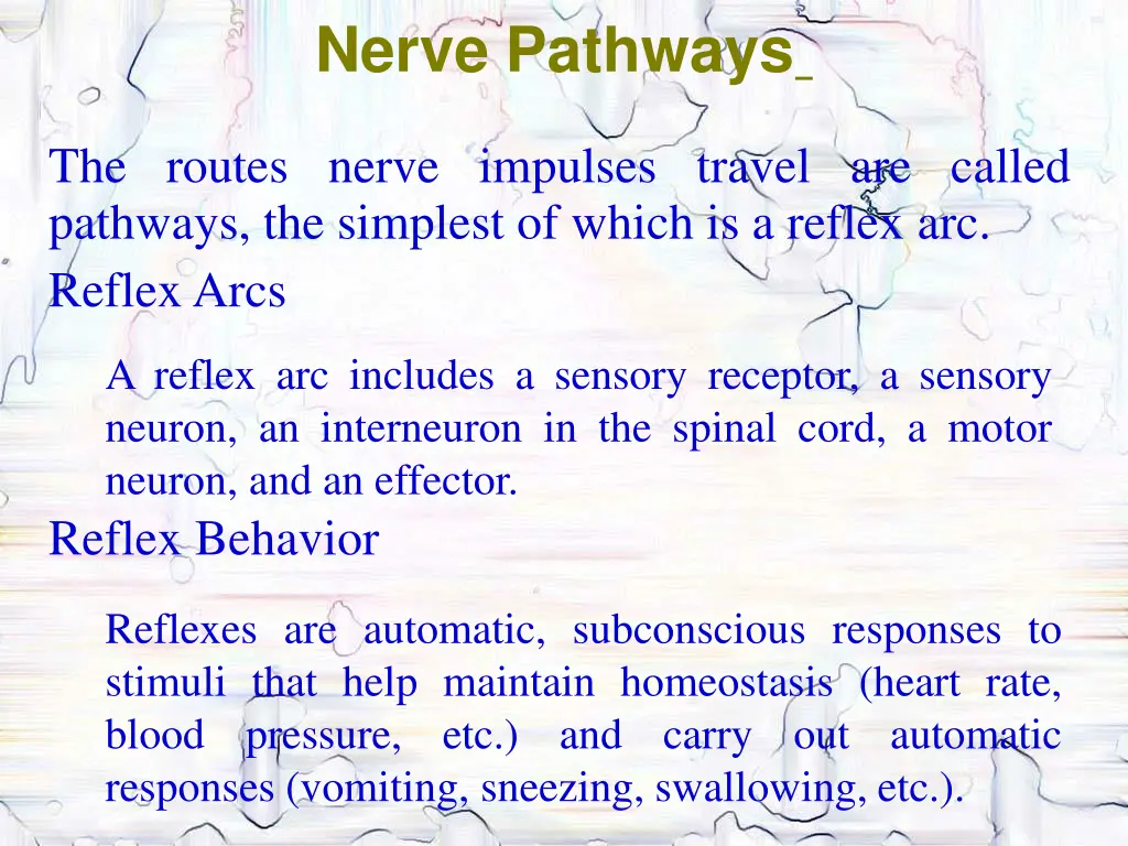 nerve pathways