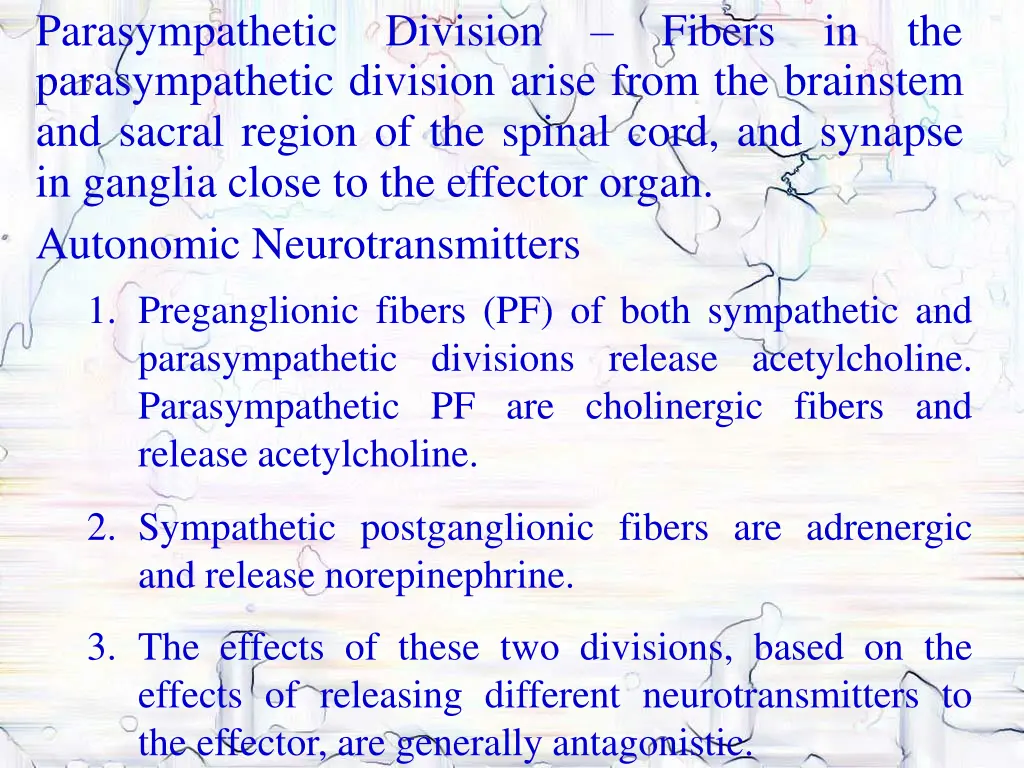 parasympathetic parasympathetic division arise