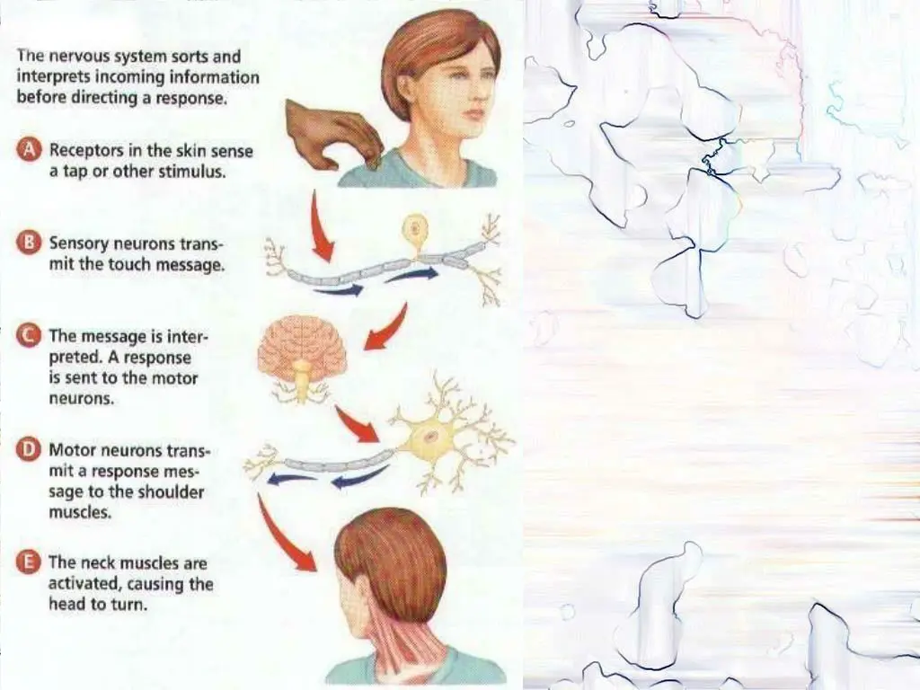 slide20