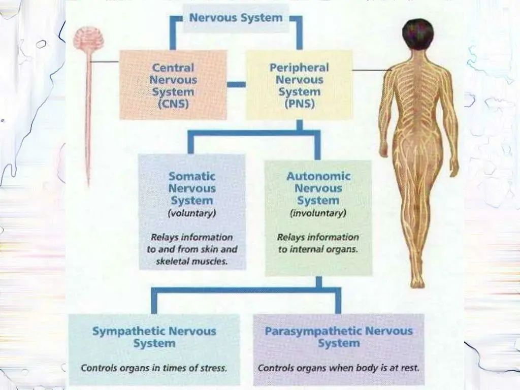 slide35