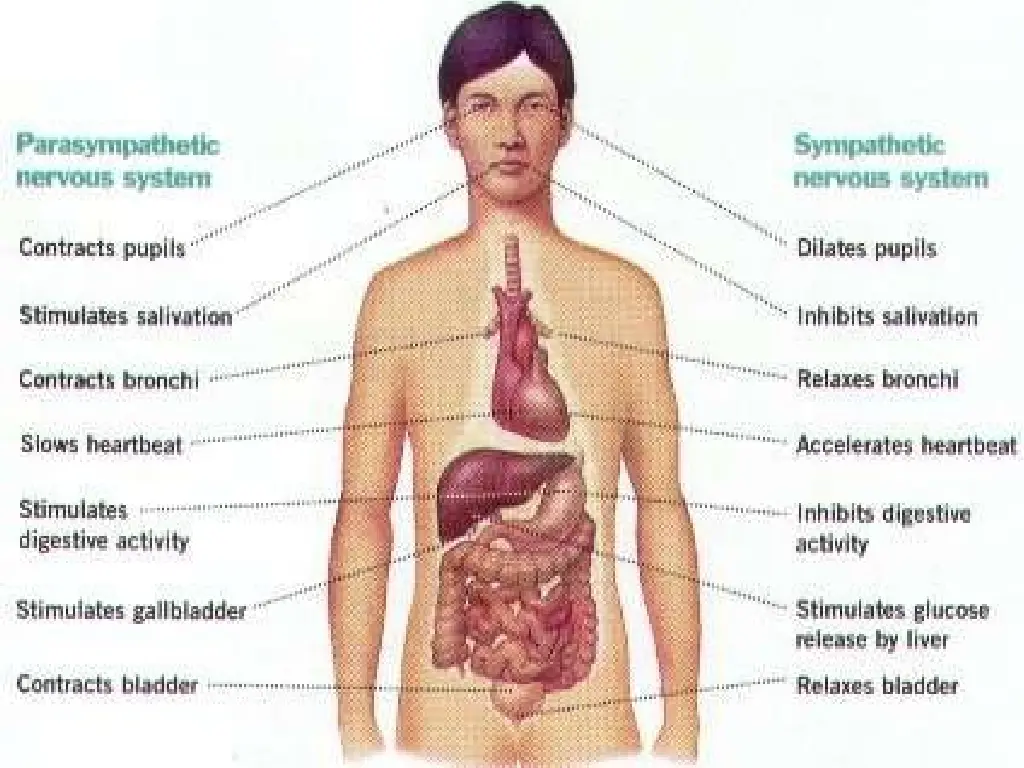 slide44