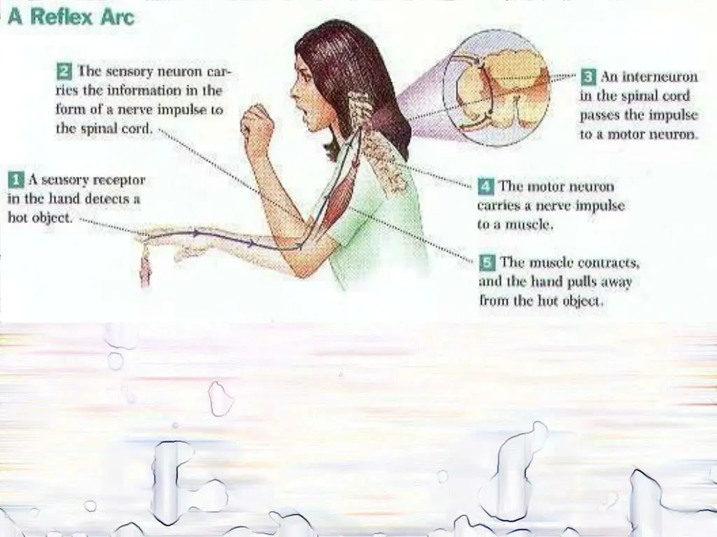 slide48