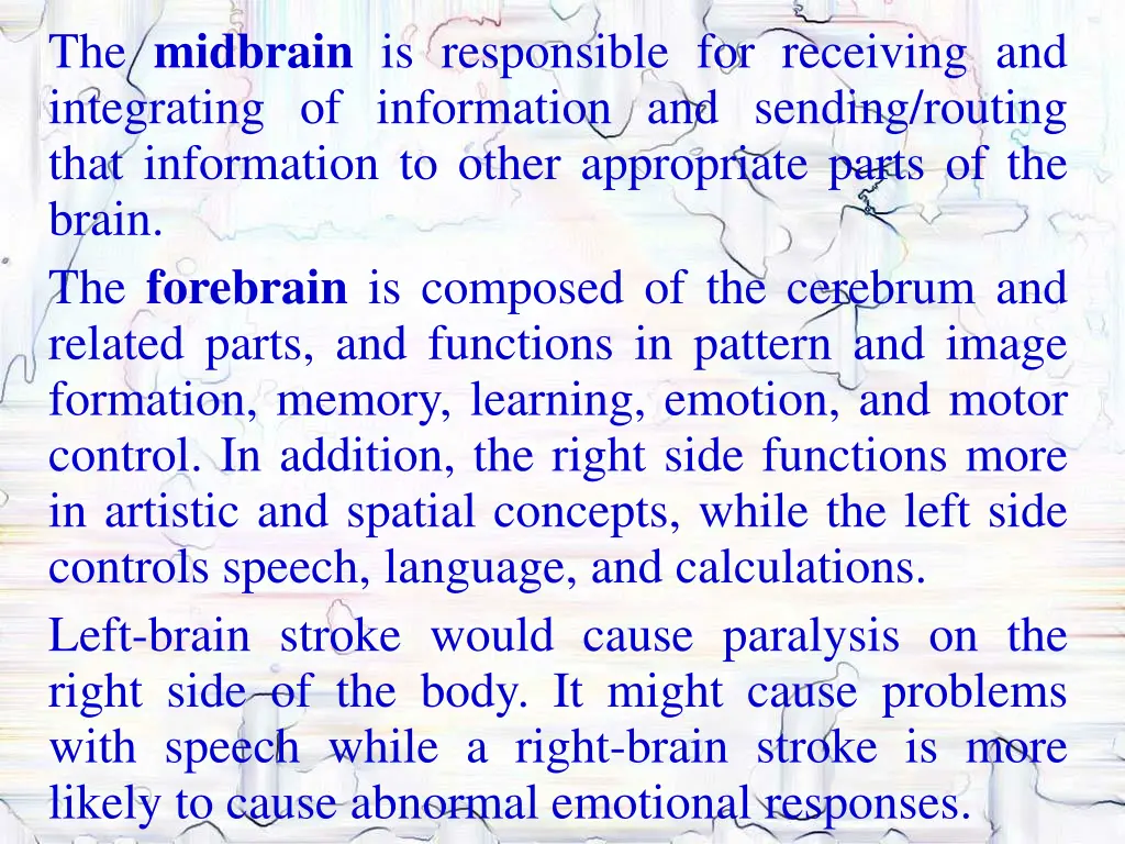 the midbrain is responsible for receiving