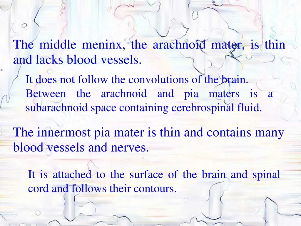 the middle meninx the arachnoid mater is thin