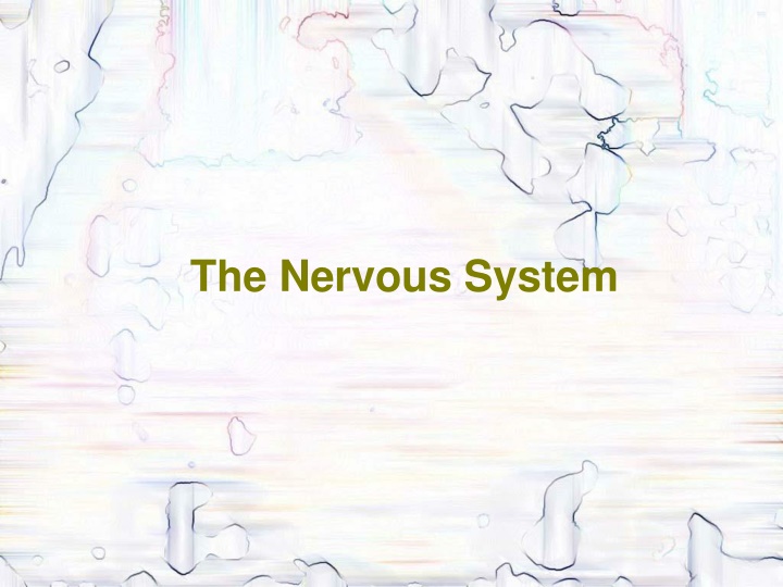 the nervous system