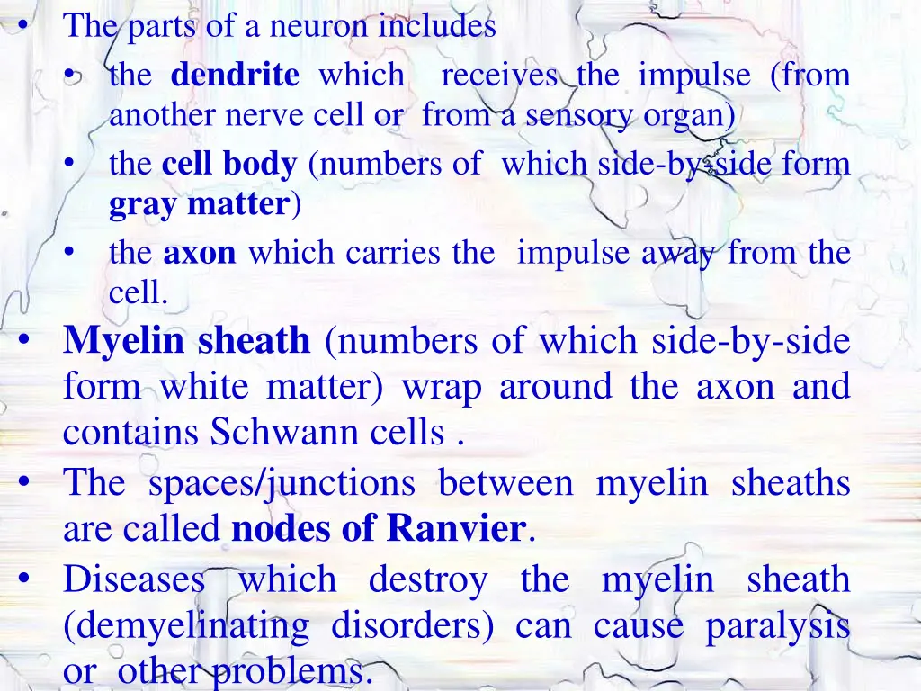 the parts of a neuron includes the dendrite which