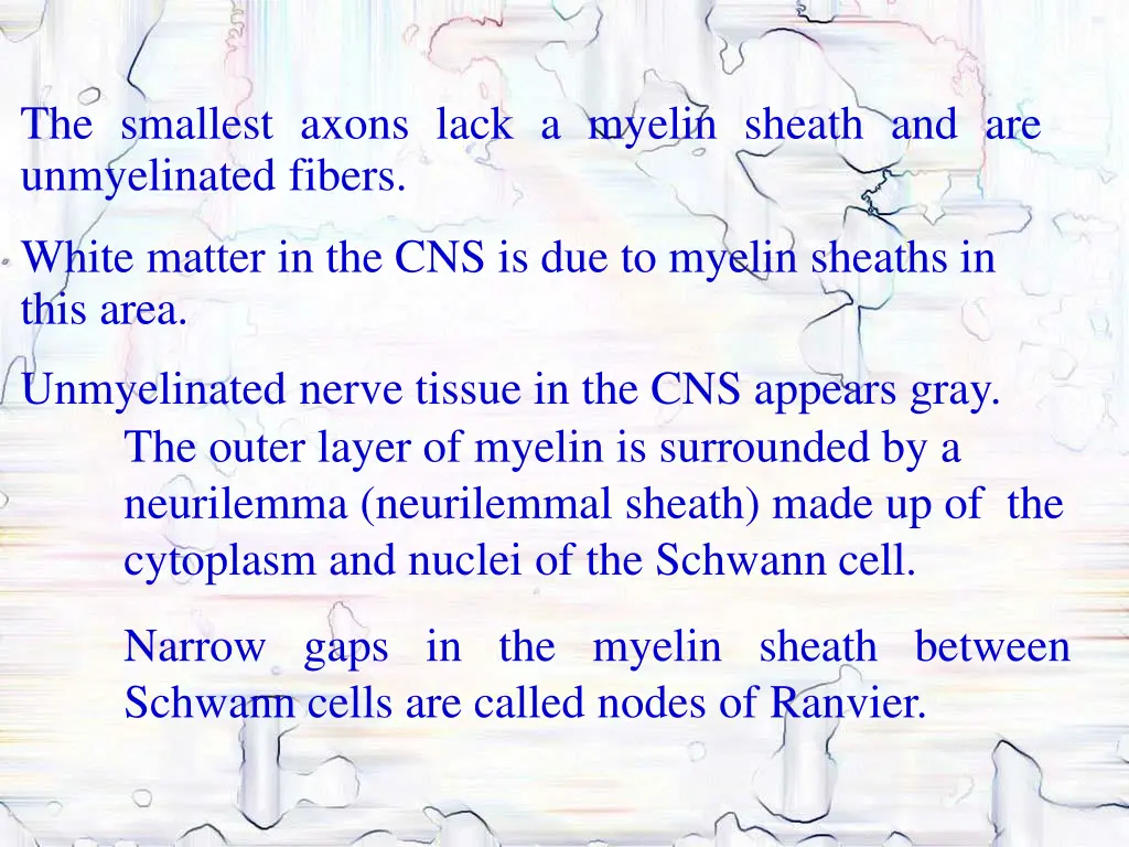 the smallest axons lack a myelin sheath