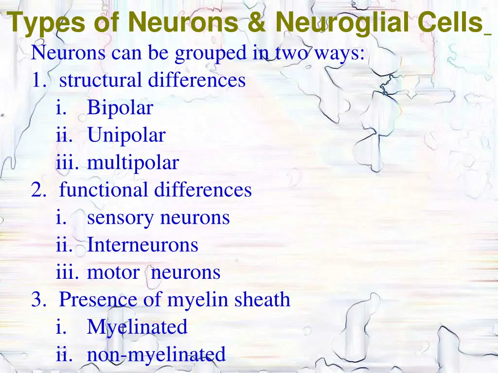 types of neurons neuroglial cells neurons