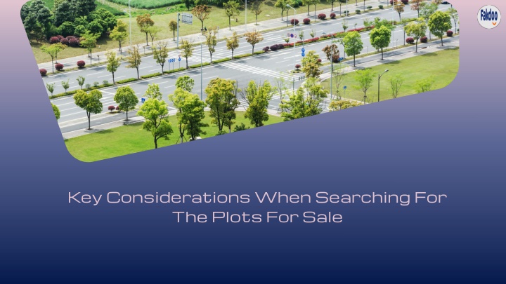 key considerations when searching for the plots