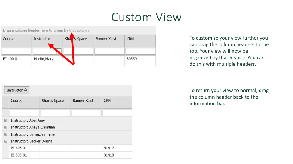 custom view