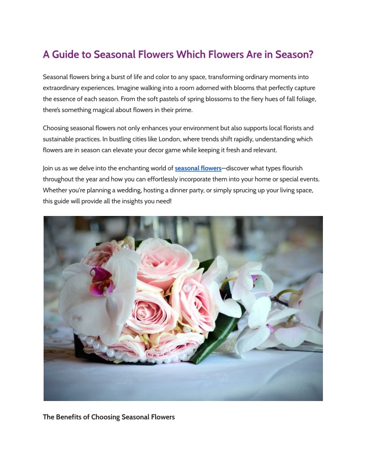 a guide to seasonal flowers which flowers