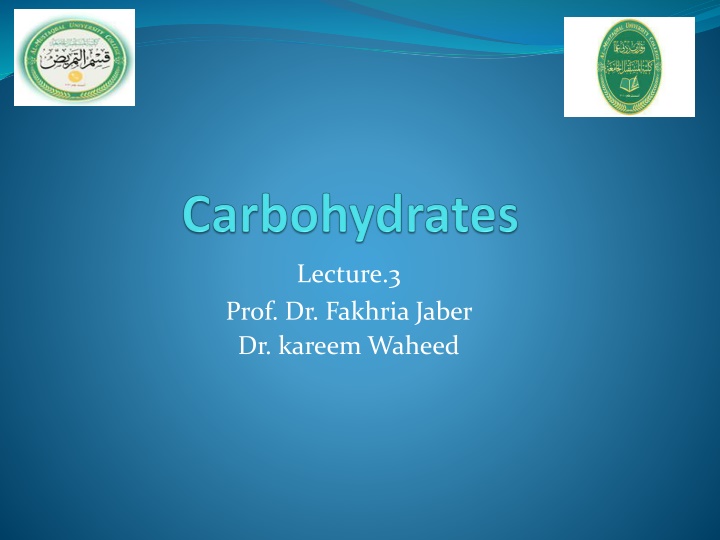 lecture 3