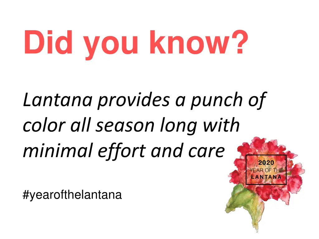 did you know 1