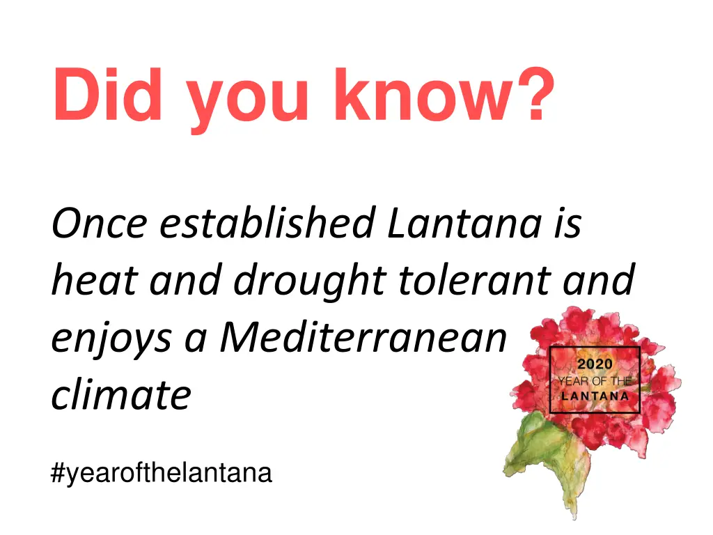 did you know 2