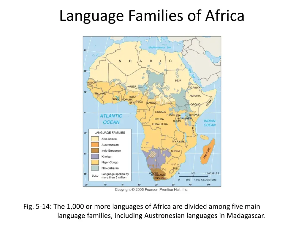 language families of africa