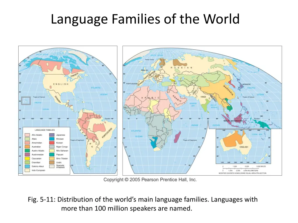 language families of the world