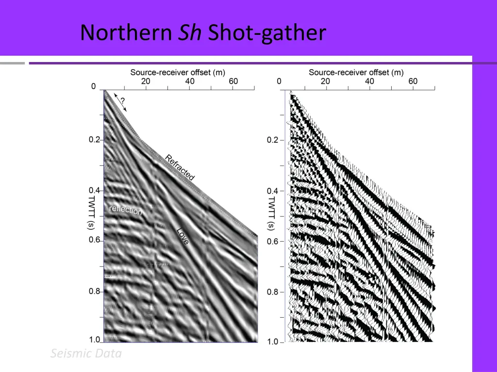 northern sh shot gather