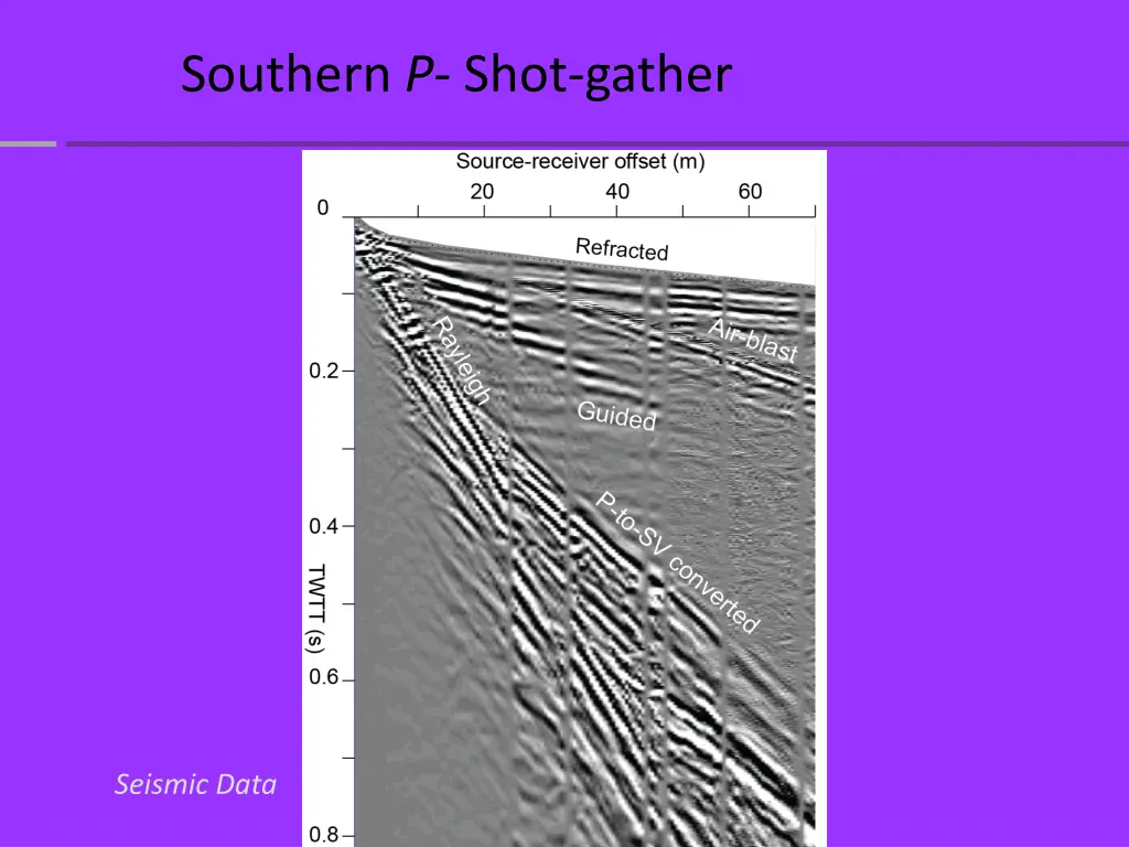 southern p shot gather