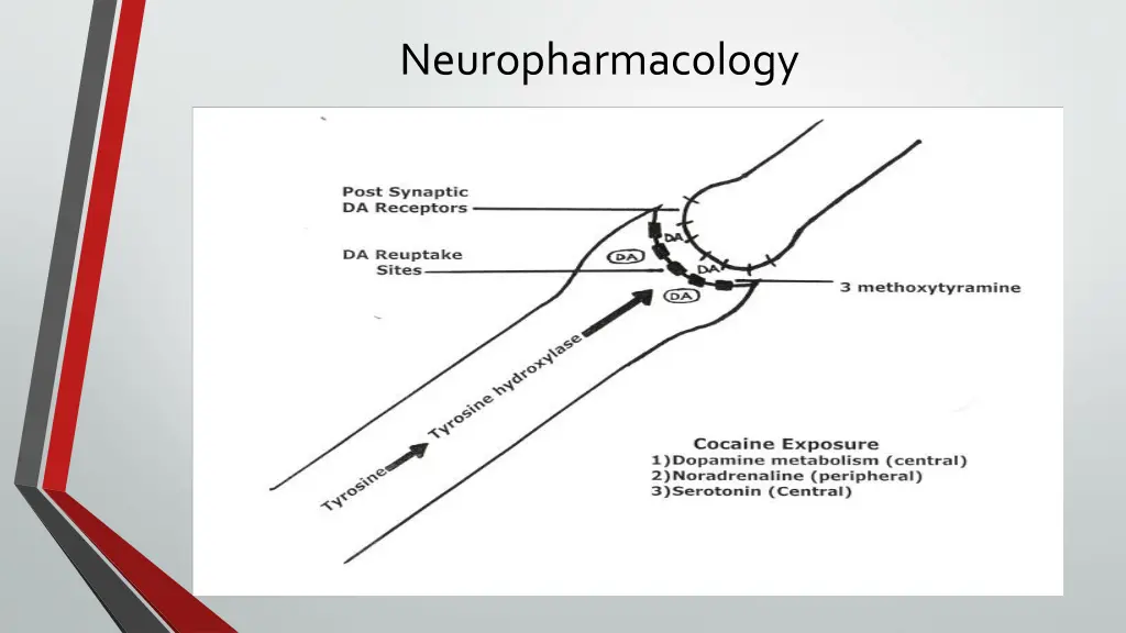 neuropharmacology