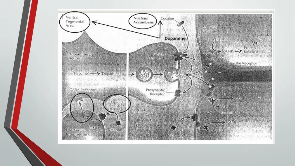 slide10