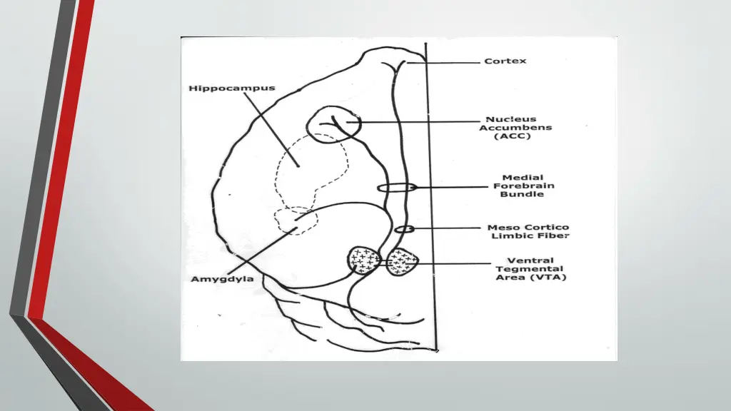 slide9
