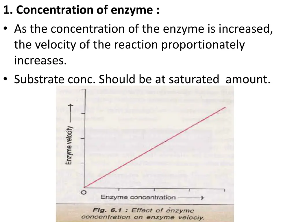 1 concentration of enzyme as the concentration