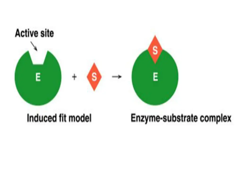 slide17