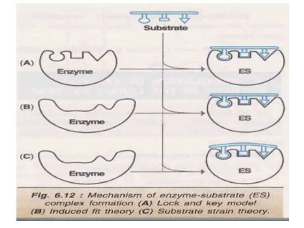 slide20