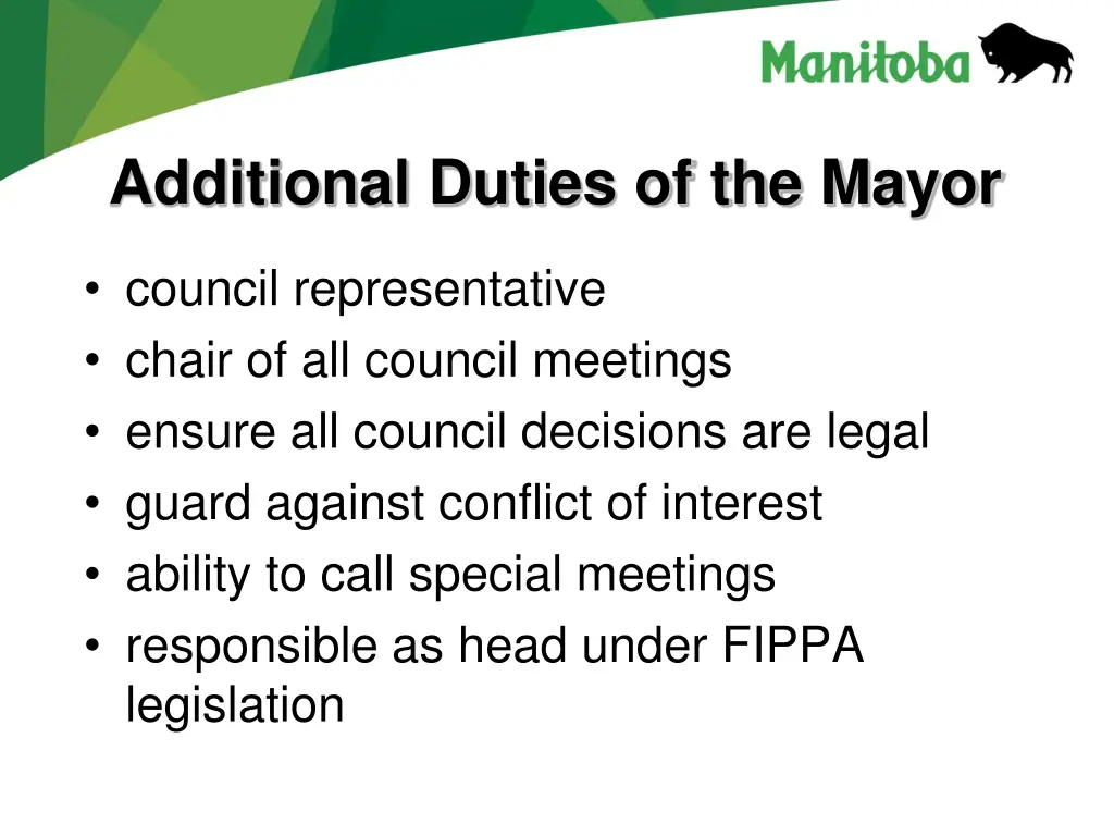 additional duties of the mayor