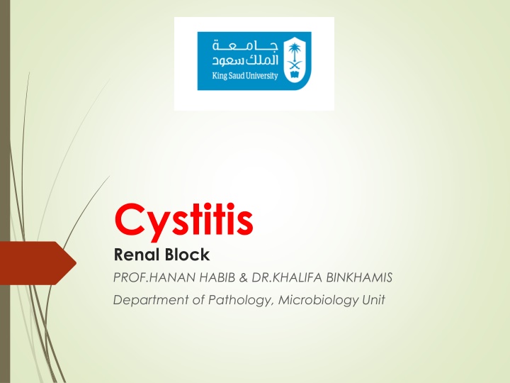 cystitis renal block prof hanan habib dr khalifa