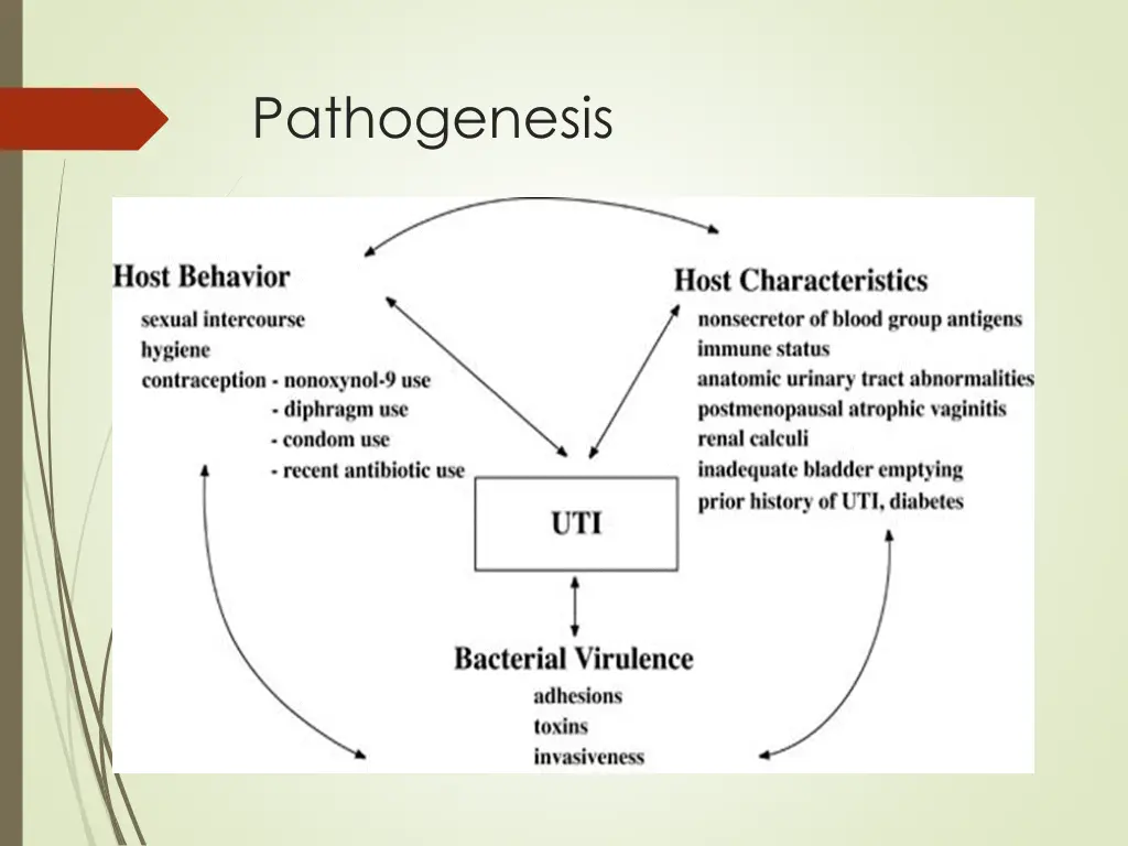 pathogenesis