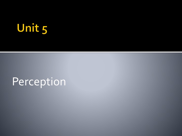 perception