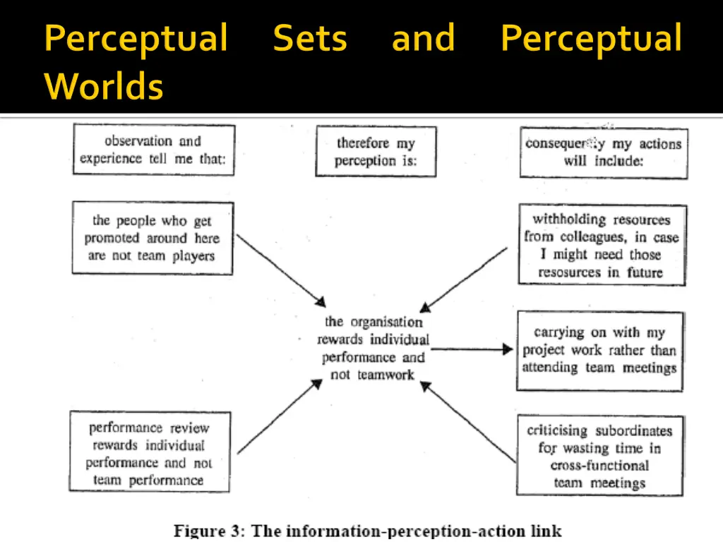 slide19