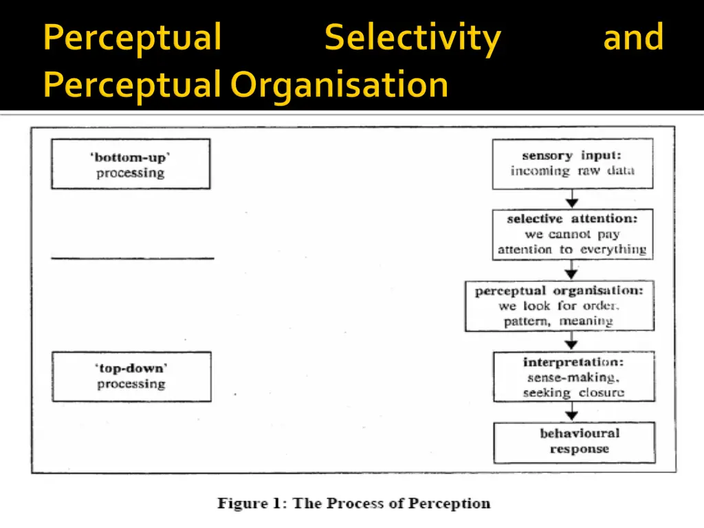 slide8