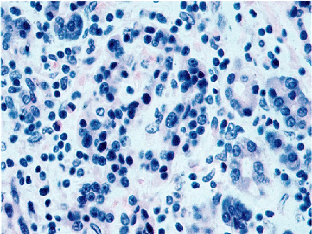 slide27