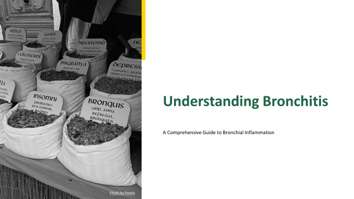 understanding bronchitis