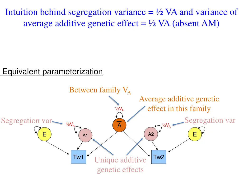 intuition behind segregation variance 1
