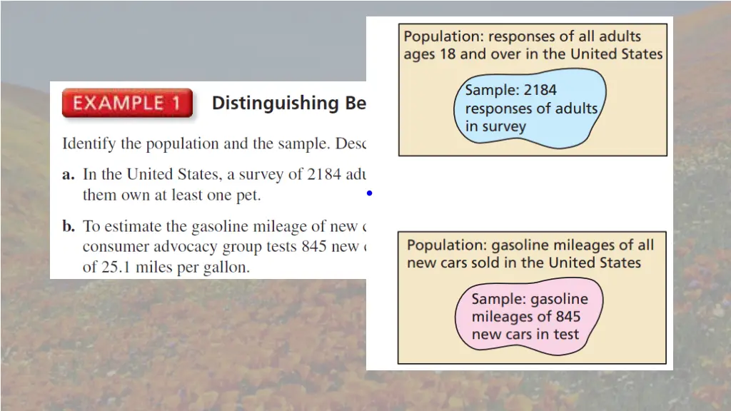 slide7