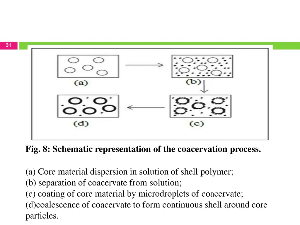 slide31