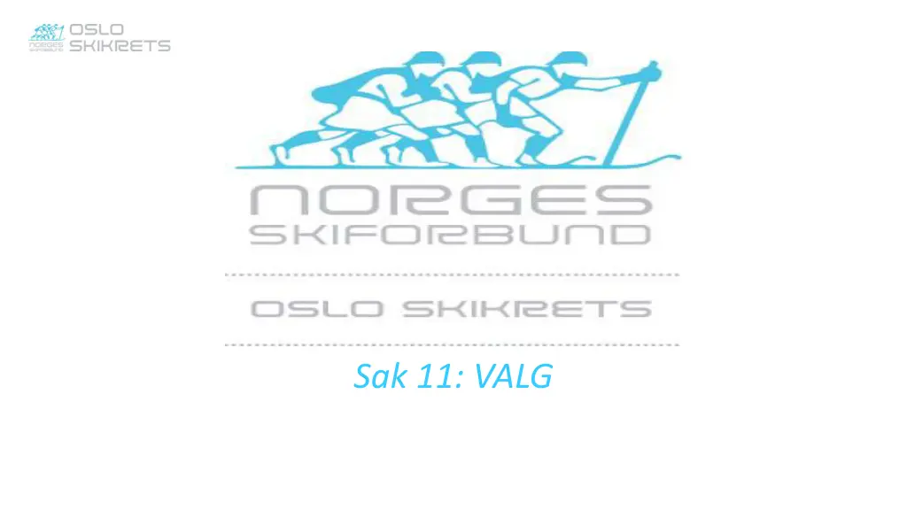 sak 11 valg