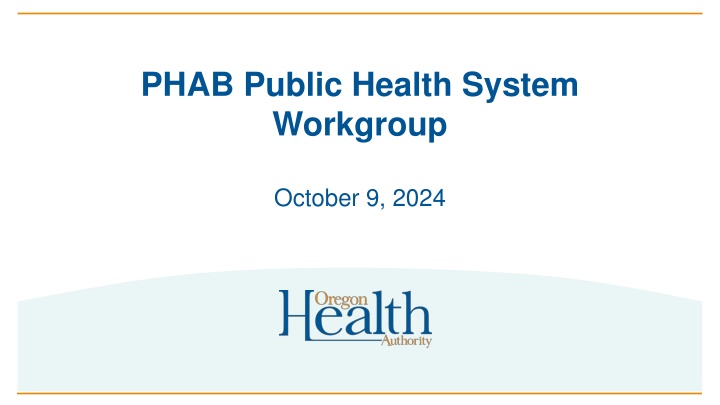 phab public health system workgroup