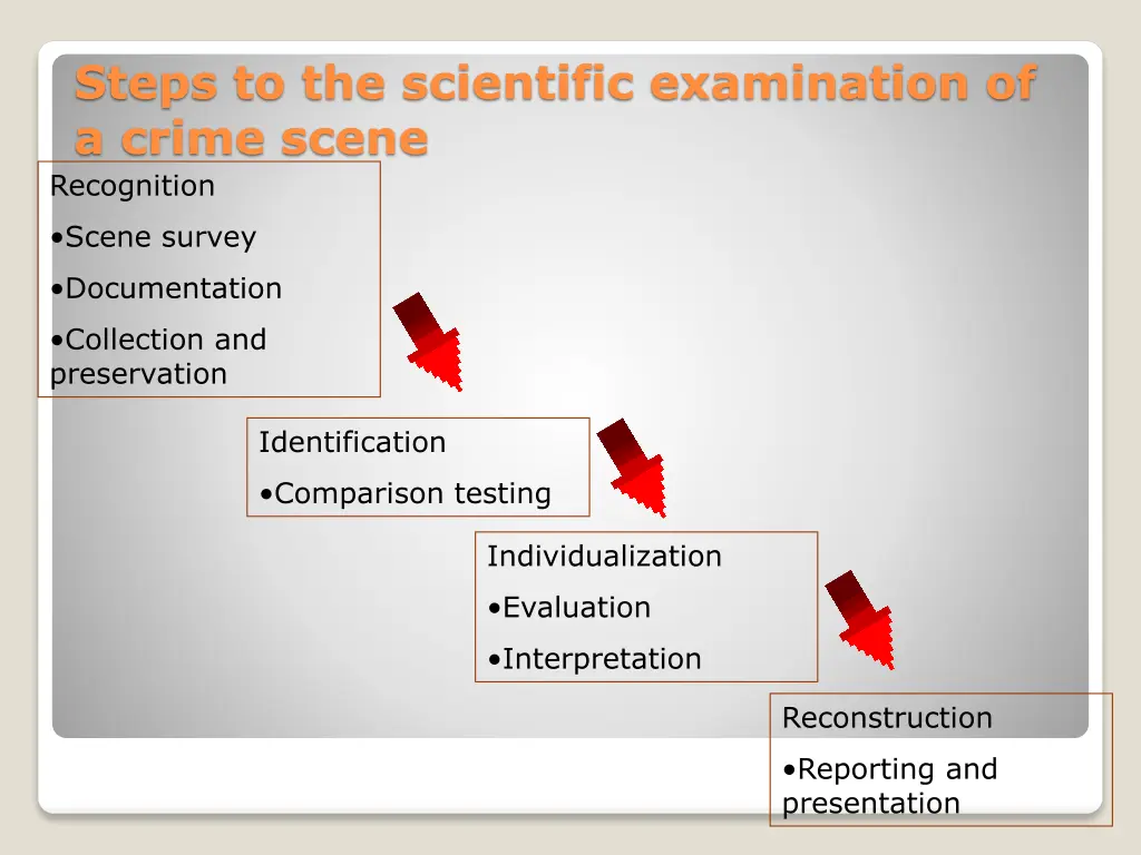 steps to the scientific examination of a crime