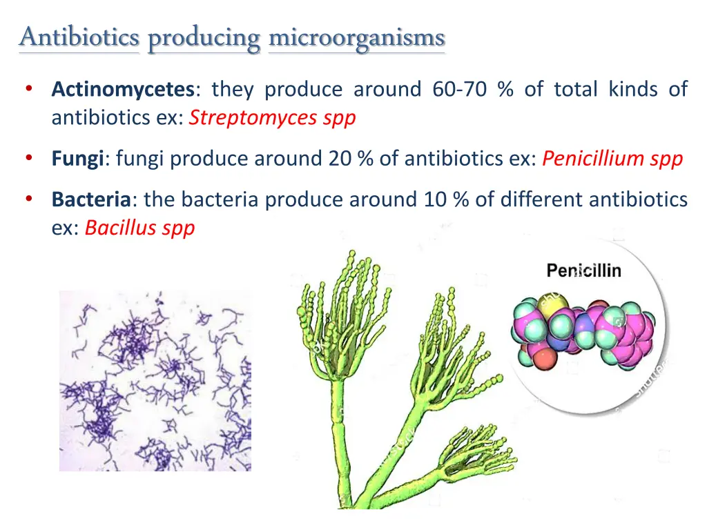 antibiotics producing microorganisms