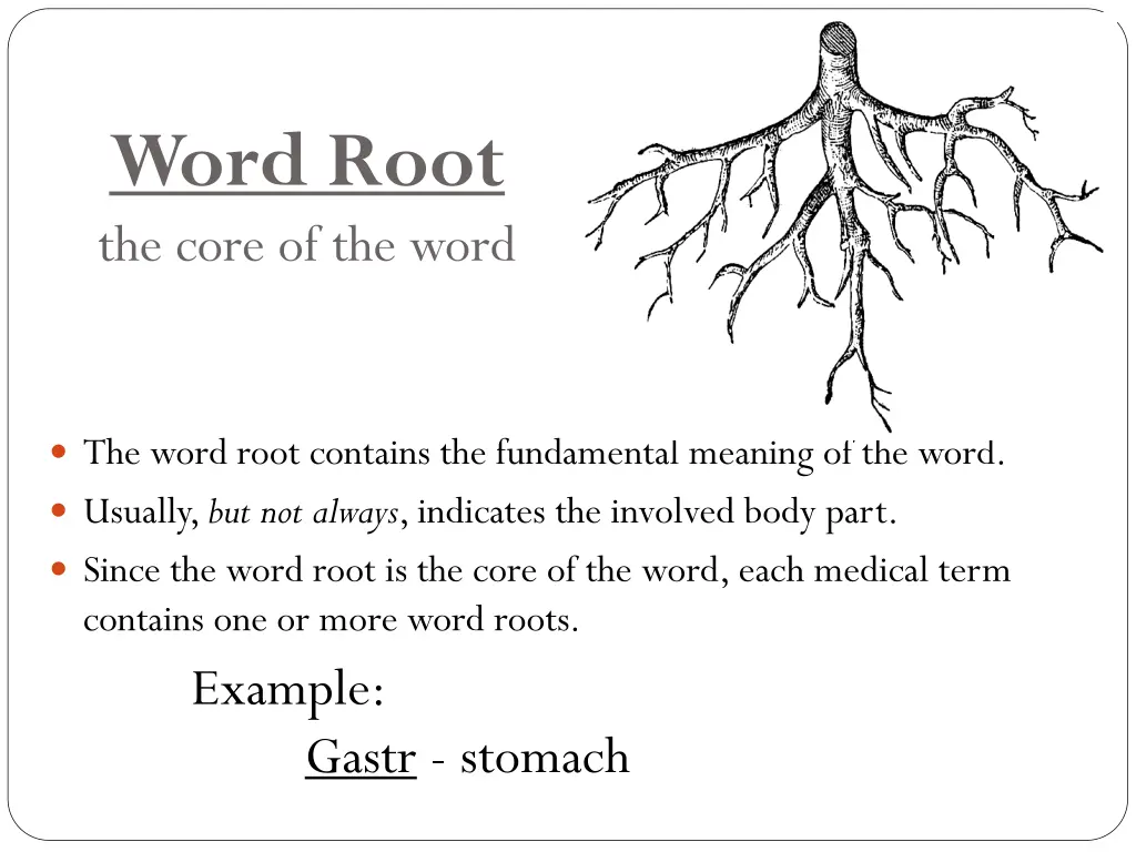 word root the core of the word