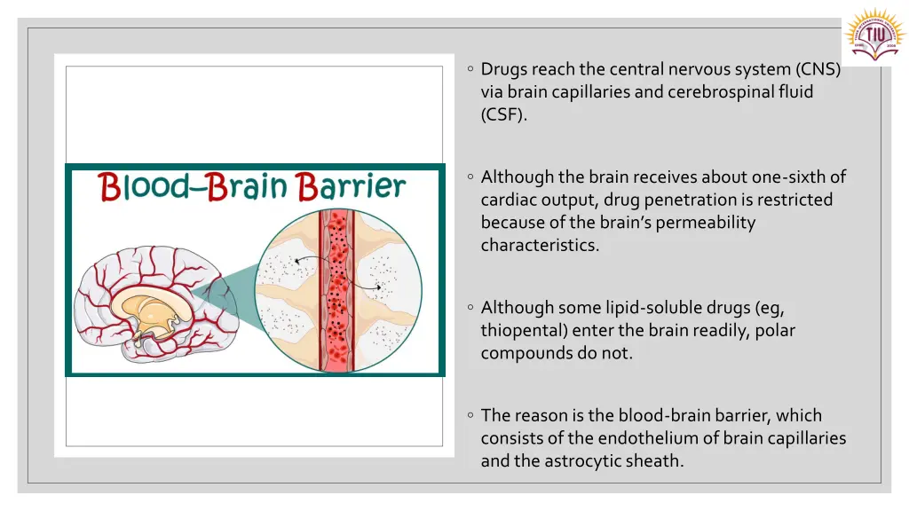 drugs reach the central nervous system
